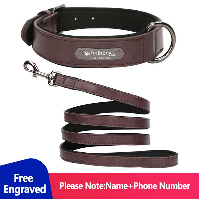 Personalized Dog Collar Luxury