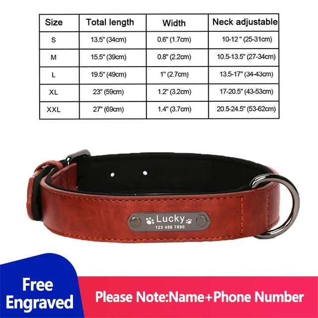 Personalized Dog Collar Luxury