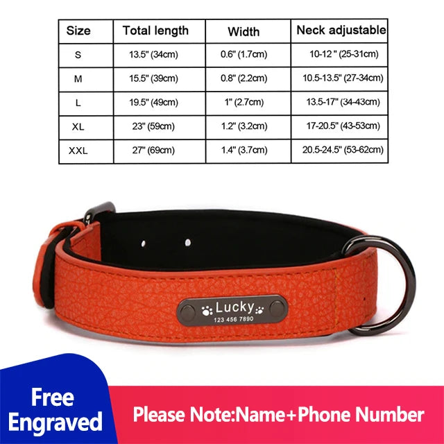 Personalized Dog Collar Luxury