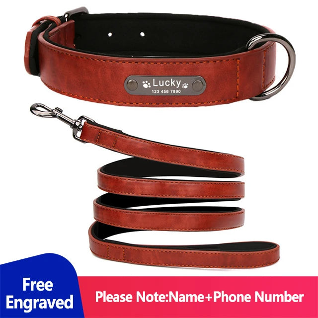 Personalized Dog Collar Luxury