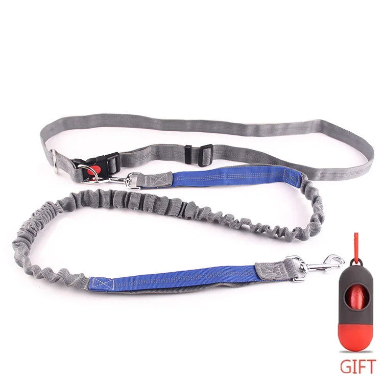 Running Dog Leash