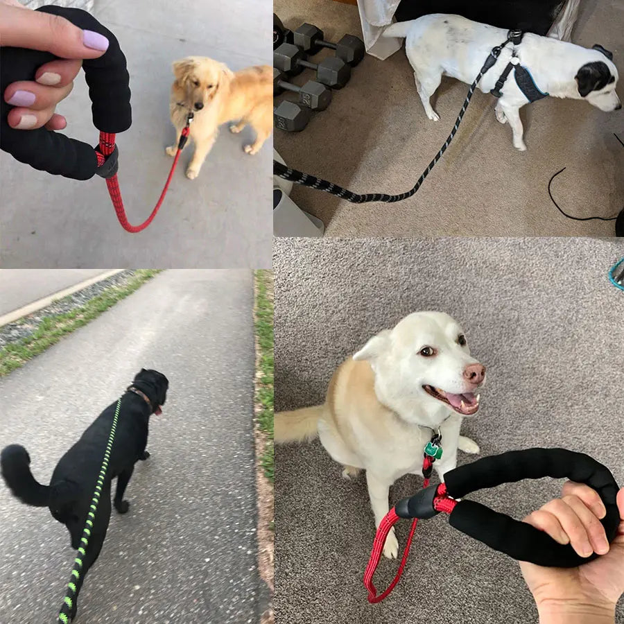 Pet Leash Reflective Strong