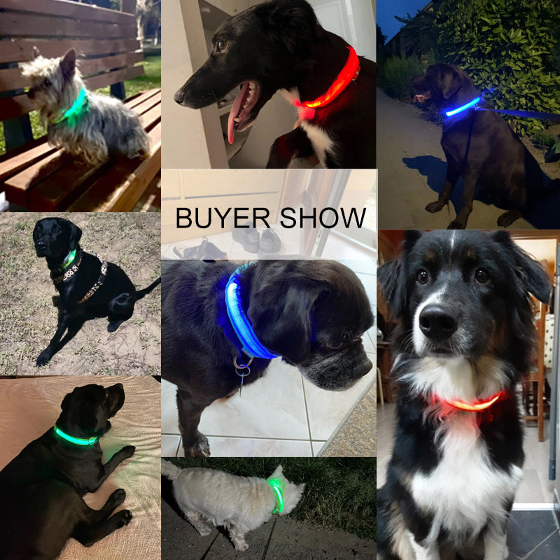 Electronic Pet LED Dog Collar Adjustable Flash Recharge Pet Collars Reflective LED Collars for Dogs Night Anti-Lost Dog Products