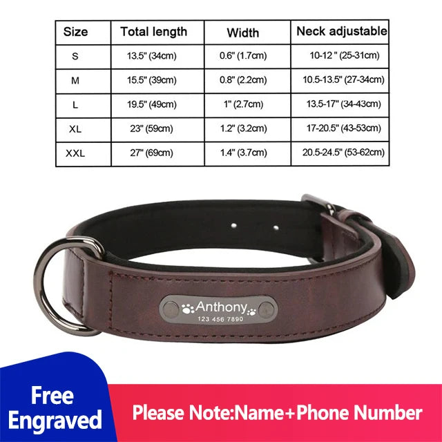 Personalized Dog Collar Luxury