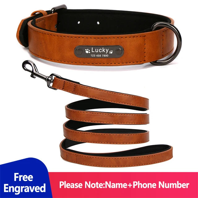 Personalized Dog Collar Luxury