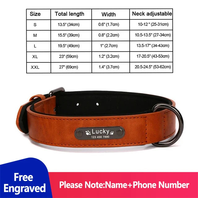 Personalized Dog Collar Luxury