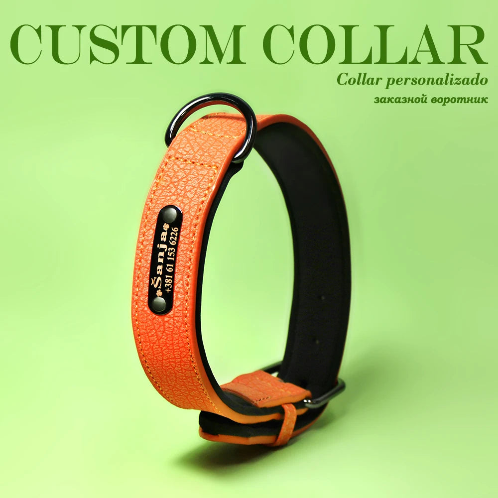 Personalized Dog Collar Luxury