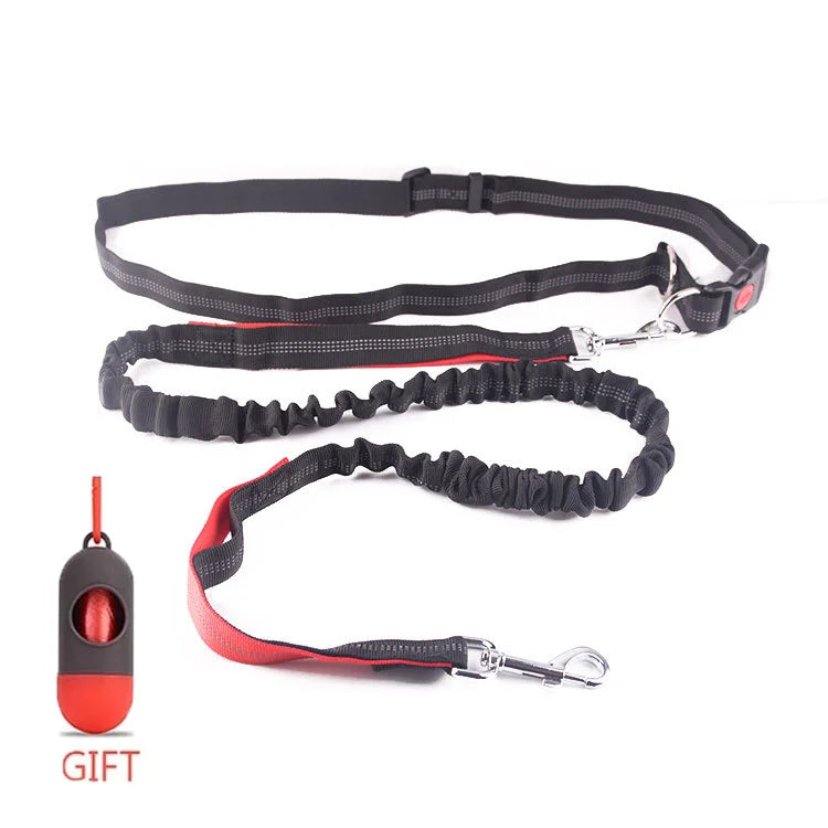 Running Dog Leash