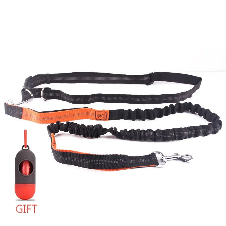 Running Dog Leash