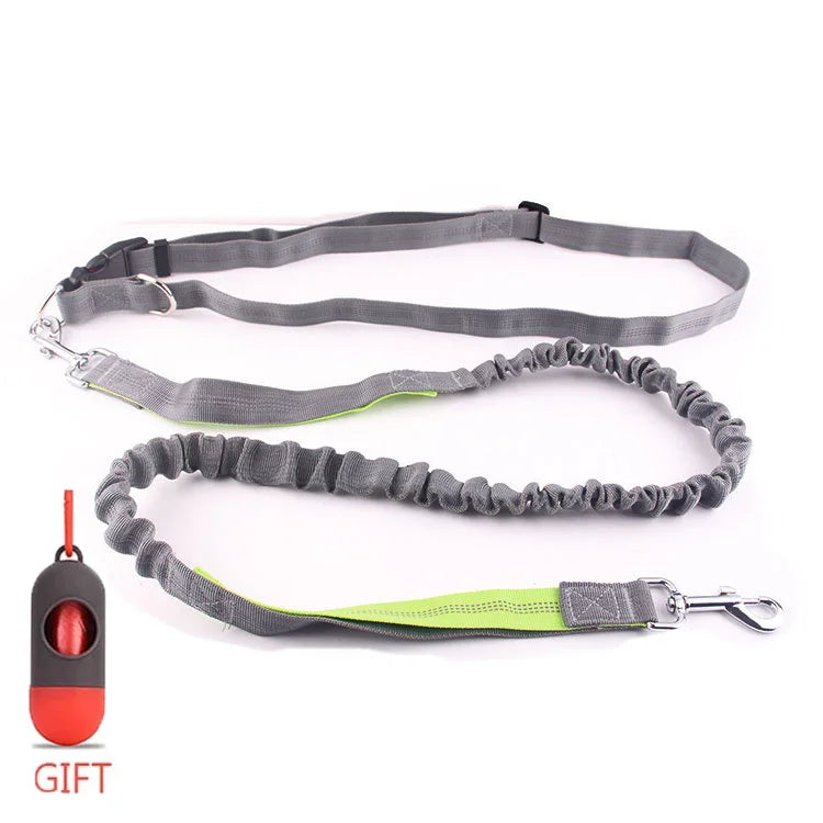 Running Dog Leash