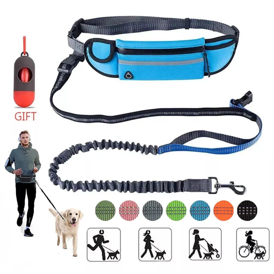 Running Dog Leash