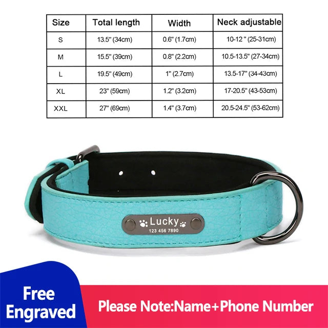 Personalized Dog Collar Luxury