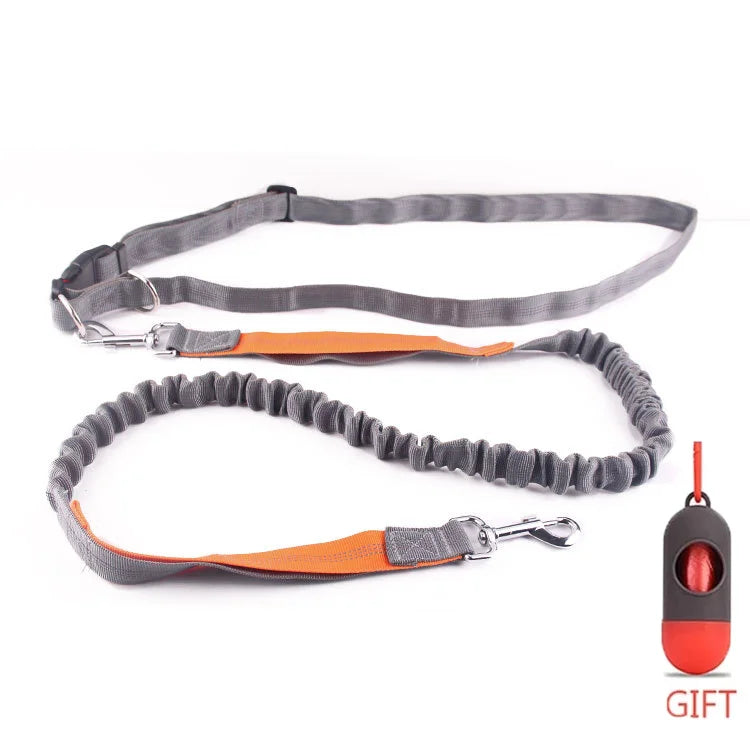 Running Dog Leash