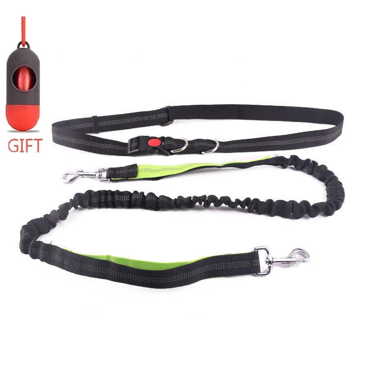 Running Dog Leash