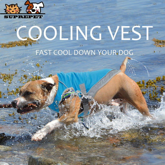 Dog Cooling Vest