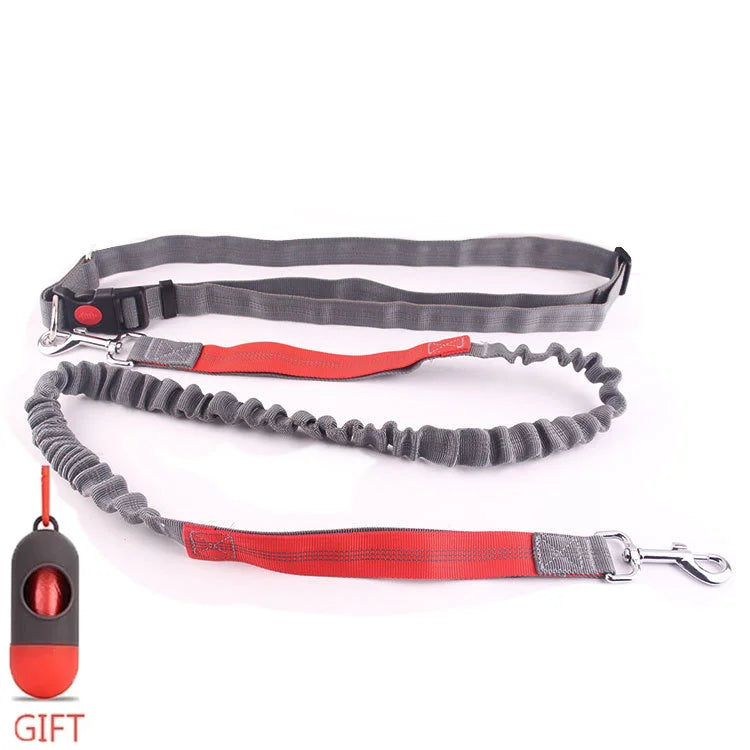 Running Dog Leash