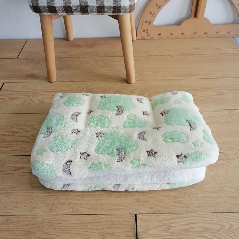 Cat and Dog Bed